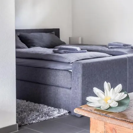 Steg 1 Apartamento *