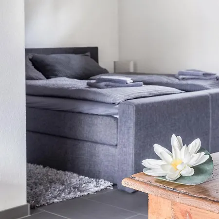 Apartman Steg 1